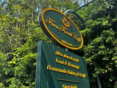 -Fern Forest Cafe