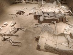 -洛阳周王城天子驾六博物馆