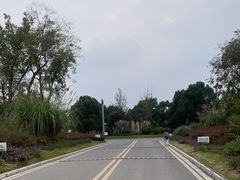 -白鹭湾湿地公园