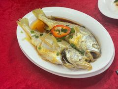 清蒸黄花鱼-蛇口康乐快餐鱼仔档(翠苑小区店)