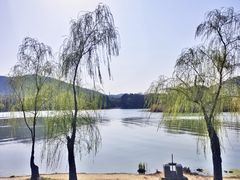 -长广溪湿地公园