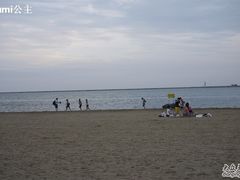 -碧海金沙