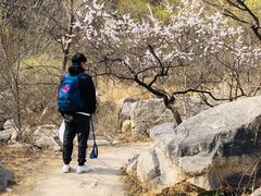 -碓臼峪自然风景区