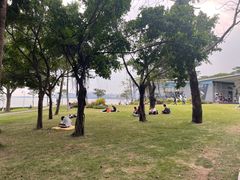 -深圳湾公园(南山区)