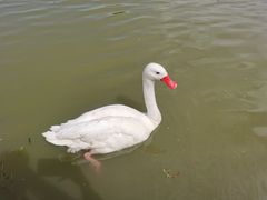 -宁波杭州湾国家湿地公园