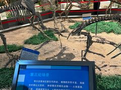 -鄂尔多斯博物馆