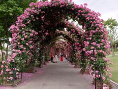 -广富林郊野公园