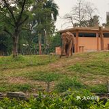 遛娃｜广州动物园20元的快乐