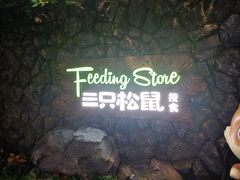 -三只松鼠(北美N1店)