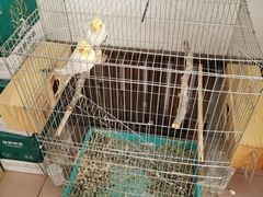-姥家大锅台水库渔家