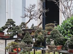 -凤凰寺
