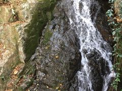 -藏龙百瀑风景区