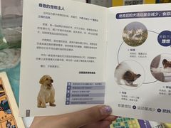 -瑞派·爱瑞可动物医院·口腔专科(广华新城分院)