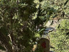 -雁荡山风景名胜区