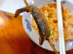 鳝鱼-晓靖轩烧烤(沙河风情店)