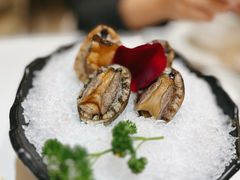 大连鲍鱼-帝皇海海鲜豆捞(桐泾商务广场店)