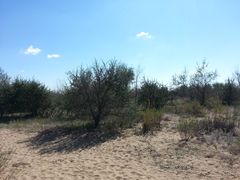 -亿利库布其七星湖沙漠生态旅游区