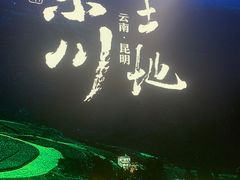 -云海肴·汽锅鸡·云南代表菜(丁香国际店)