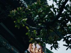 -古琴台