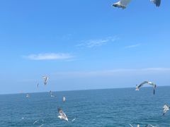-海驴岛(荣成市)
