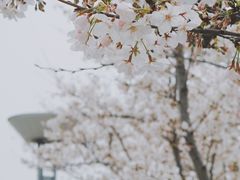 -苏州太湖国家湿地公园