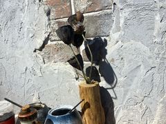 -地二手作鱼汤馄饨(上街里店)