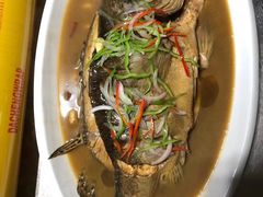 蒜仔黄鳝、清出河虾仁、本味桂鱼-巧凤私房菜