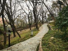 -青岛海滨风景区小鱼山