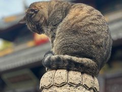 -西园戒幢律寺