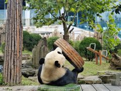 -大连森林动物园