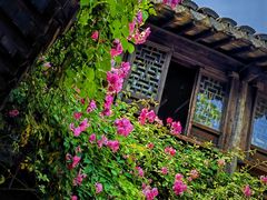 -惠山古镇·寄畅园