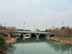 -贡湖湾湿地公园
