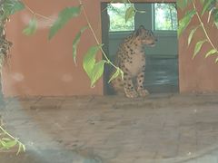 -青藏高原野生动物园