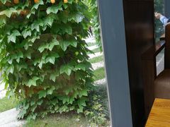 -星巴克(古美路店)