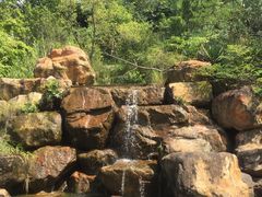 -广东花都湖国家湿地公园