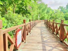 -大亚湾红树林城市湿地公园