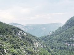 -佛慧山