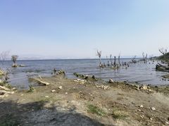 -洱海月湿地公园