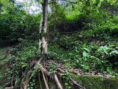 -乐山大佛风景名胜区乌尤寺南门-售票点