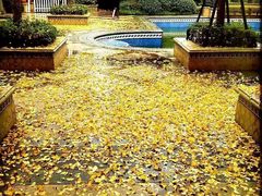 游泳池-杰仕健身百合天地会所(海宁百合新城店)