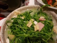 上汤豆苗-拾叁唐Livehouse(佛山禅城店)