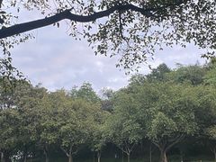 -广州雕塑公园