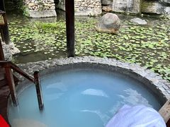 -明月山天沐温泉度假村