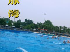 -海豚湾梦幻水上乐园