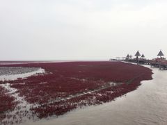 -红海滩国家风景廊道