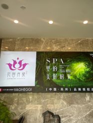 -阅年轻·AI家庭健康体质调理