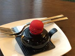 黑夜伯爵-共舞时光猫咖·狗咖(新街口店)