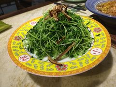 清炒豆苗-那家小馆•北京菜•烤鸭(中关村店)