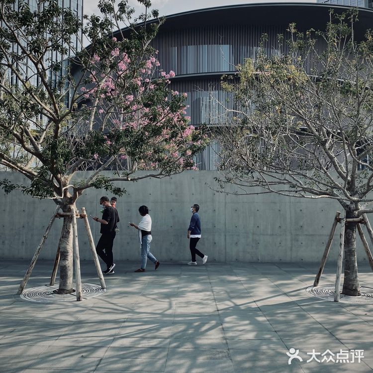 新晋打卡圣地｜顺德和美术馆（HEM）