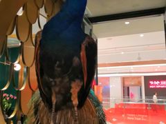 门面-雀蓝川菜(奥体广场店)